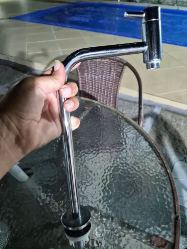 Bica bancada Luxo Leão