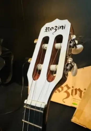 Banjo Rozini elétrico