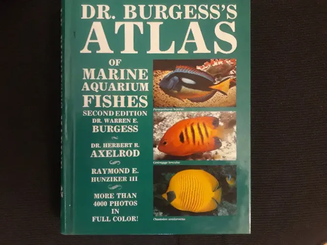 Atlâs de Peixes Marinhos - Importado e raro - Capa dura 500 pgs