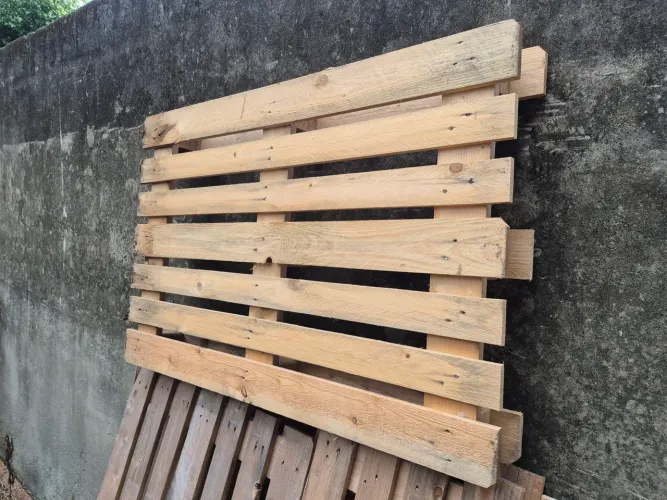 Pallet 