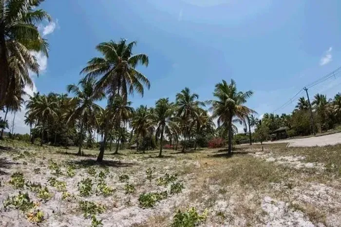 LOTES EM PORTO DE GALINHAS!!