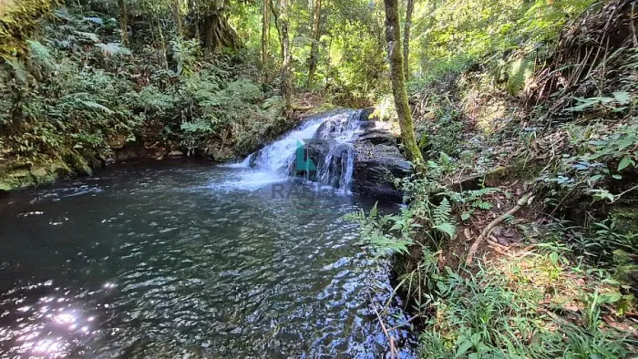 SÍTIO COM CACHOEIRA Á VENDA NO PARAIBUNA EM CUNHA - SP