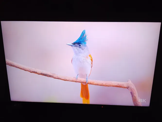 Smart TV Samsung 50" QLED 4K