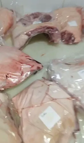 Alimento suinos