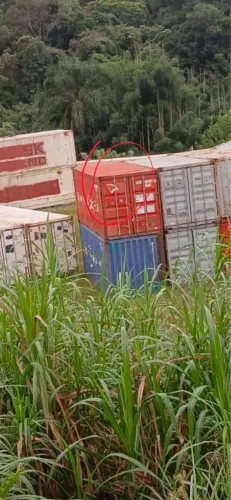 Container 6 metros