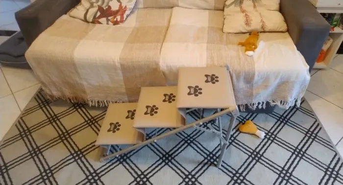 Escada rampa para cachorro 