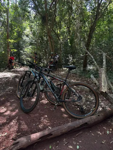 Bicicleta aro 29