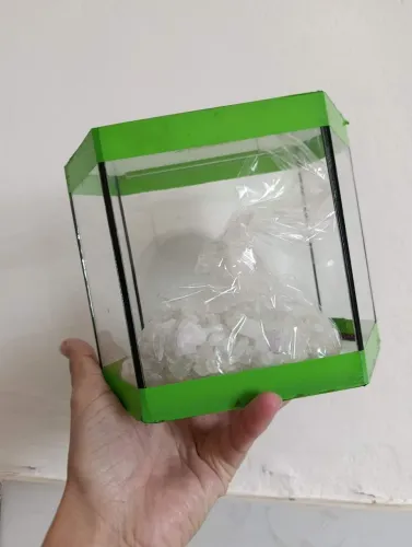 Aquário para peixe Beta
