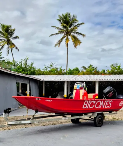 Lancha para Pesca Esportiva - Motor 60 HP 4T - Exclusividade e Desempenho