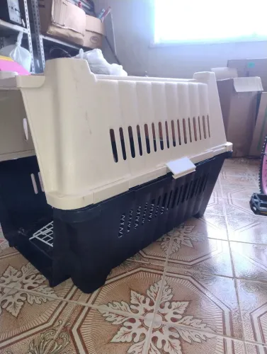Casa transporte cachorro