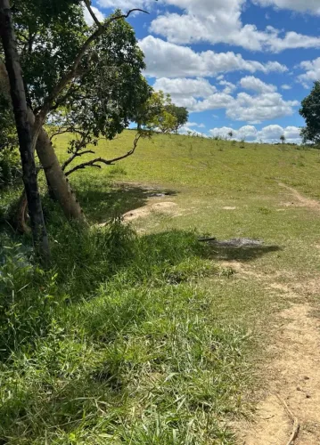 Terreno bem localizado próximo a posto de polícia 