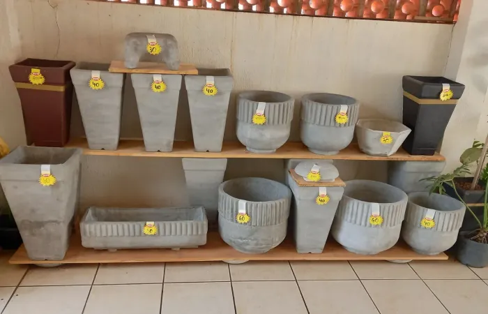 Vasos,plantas,terra vegetal