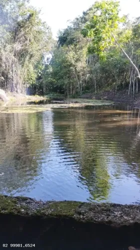 Fazenda para Venda em Maceió, Cachoeira do Meirim