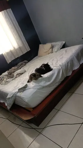 Cama estilo Oriental Japonesa 