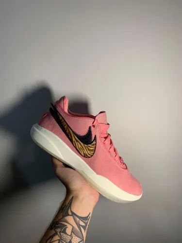 Nike Lebron 20 South Beats 42