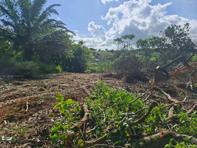 Terreno 1.800m² Próximo à BR 232 - Ótima Oportunidade