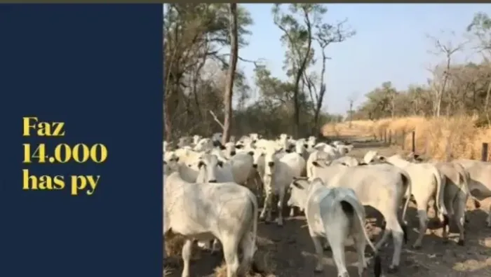 Fazenda a venda no Paraguai ou permuta ?