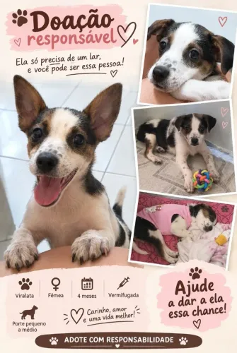Doação
