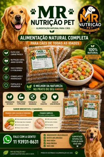 Alimentação natural para caes