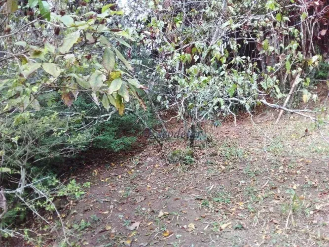 Terreno à venda, 919 m² por R$ 160.000,00 - Parque Petrópolis - Mairiporã/SP