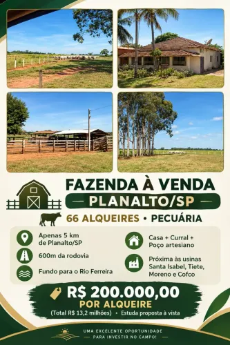 I FAZENDA DE DUPLA APTIDÃO CANA E PECUÁRIA PLANALTO/SP