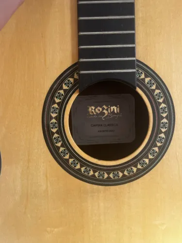 Viola Rosini acústica
