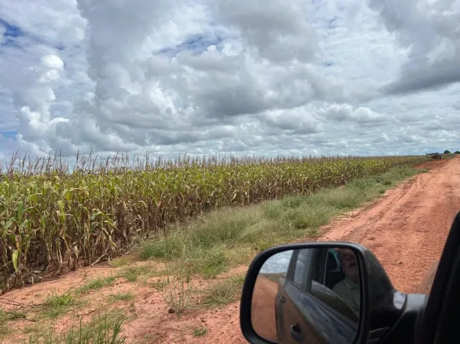 Fazenda de arrendamento pra Soja 2.000hec em 60km de Boa Esperança Norte MT. 700 já planta