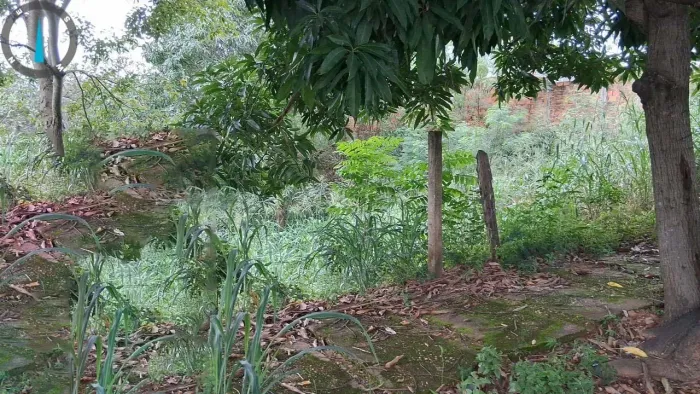 Terreno Urbano 360m² | Vila Residencial de Minaçu - Minaçu/GO | Localização Nobre e Infrae