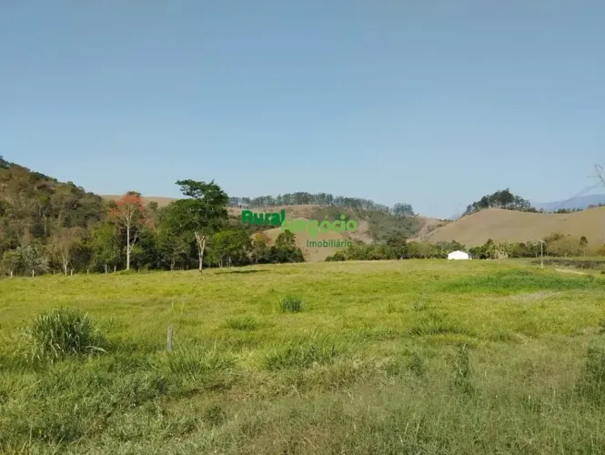 FAZENDA DE TOPOGRAFIA BAIXA E FRENTE ASFALTO EM SILVEIRAS-SP