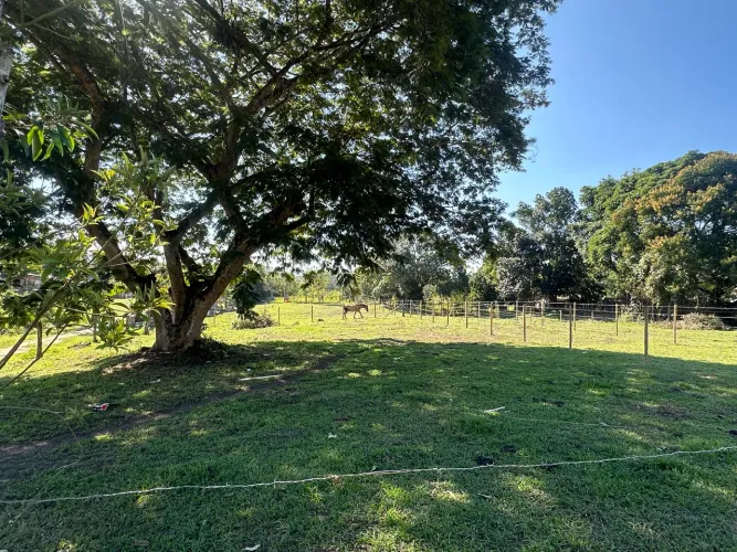 Terreno em agro Brasil ideal pra montar sua chácara