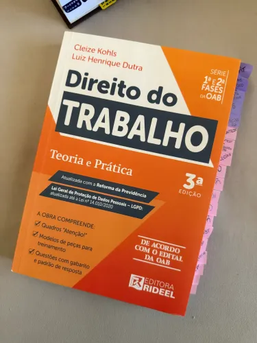 Teoria e prática do Direito do Trabalho 