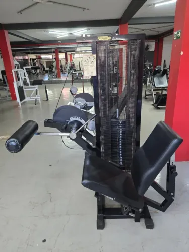 cadeira flexora technogym