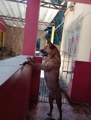 Doação 