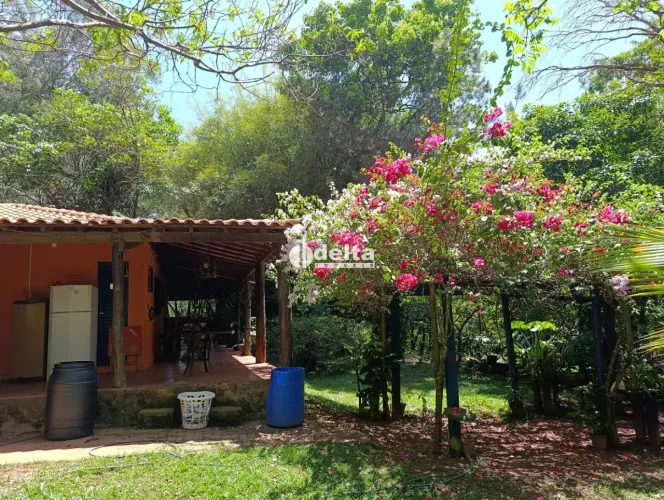 Chácara com 4 quartos disponível para locação e venda no bairro Chácaras Oliveira em Uberl