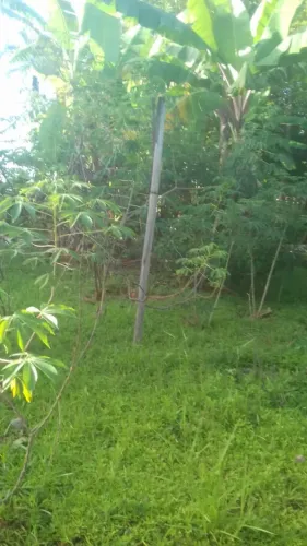 vendo chacara no jardim Ingá, mansoes estrela dalva 8