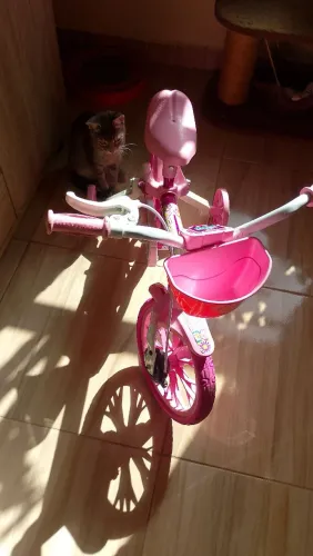 Bicicleta aro 12 nova usada 3 vezes