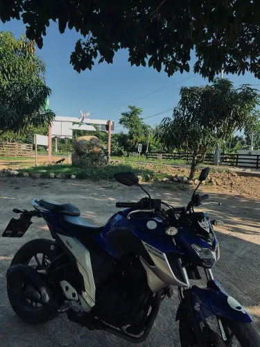 Fzr25