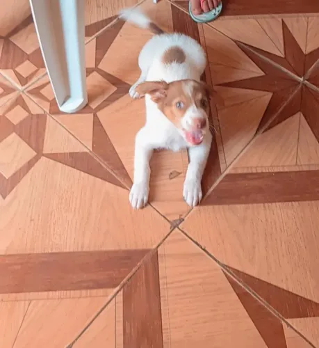 Doação