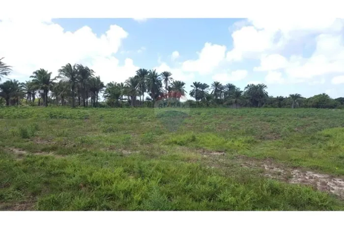 TERRENO (Fazenda em Piaçabuçu, AL - 687 ha)
