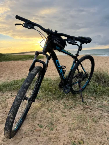 Icicleta Ox aro 29