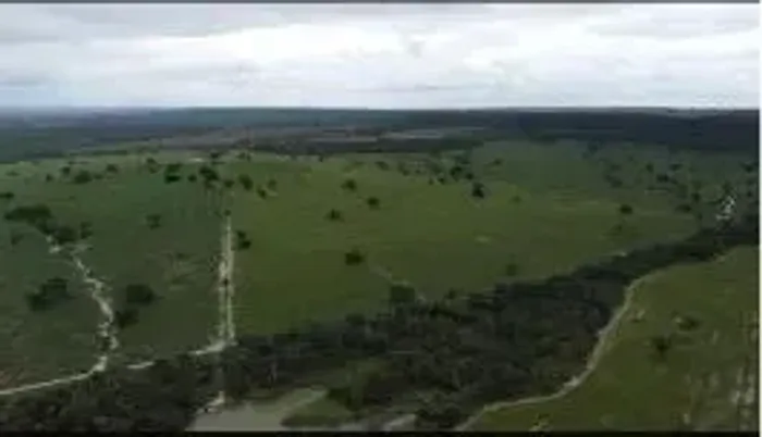 Fazenda á venda no Maranhão com 2.450 hectares, sendo 1000 hectares em pasto, solo ideal