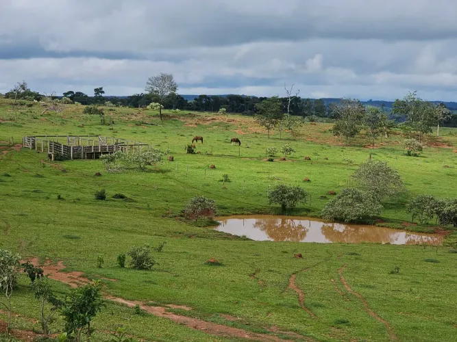 Fazenda dentro de Corumba go