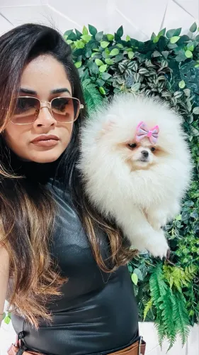 SPITZ ALEMÃO (LULU DA POMERANIA)!!!