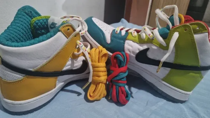 Tênis Nike SB Dunk High Pro x froSkate