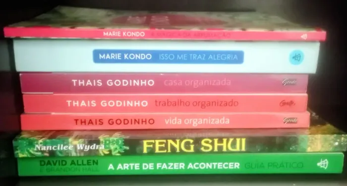 Livros de Organização e Produtividade