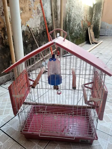 Gaiola para calopsita