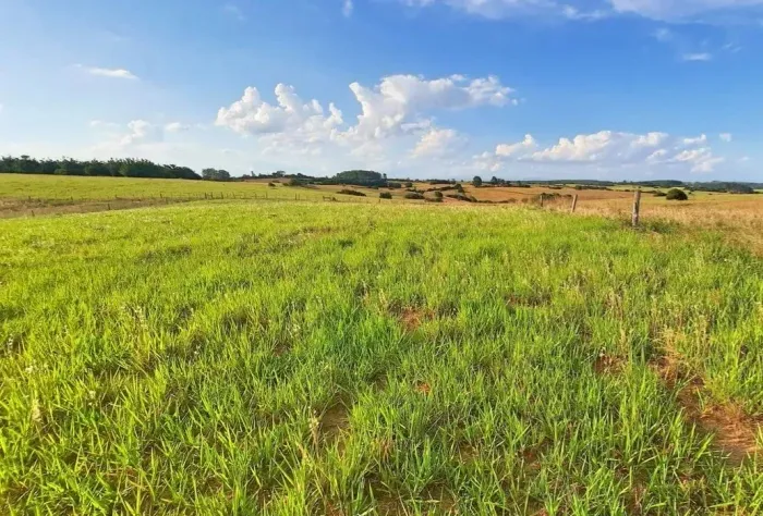 Área rural com açude em viamão 