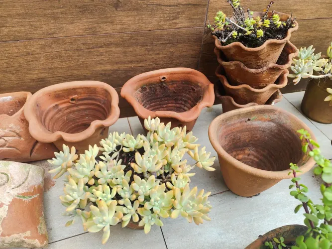 Vasos de barro de parede usados