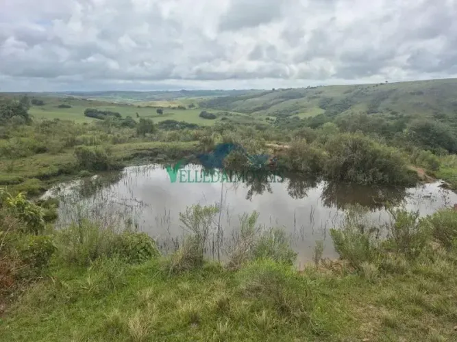 Velleda oferece magnífico sítio 20 hectares em Encruzilhada do Sul, oportunidade!