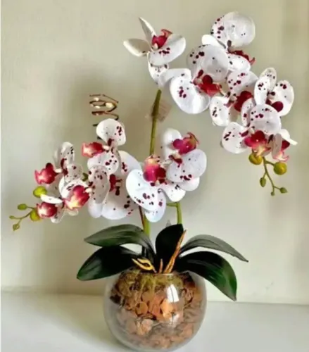Arranjo de orquídea tigre